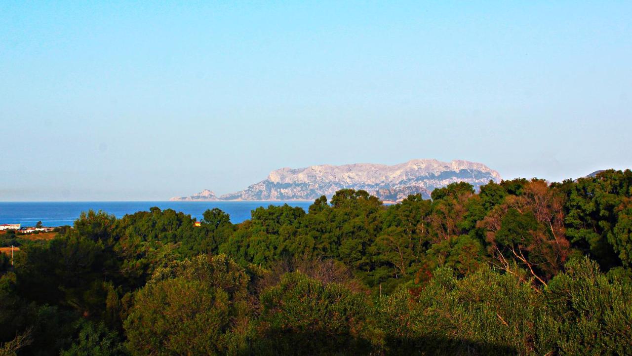 Sole Matto Rooms Olbia Extérieur photo